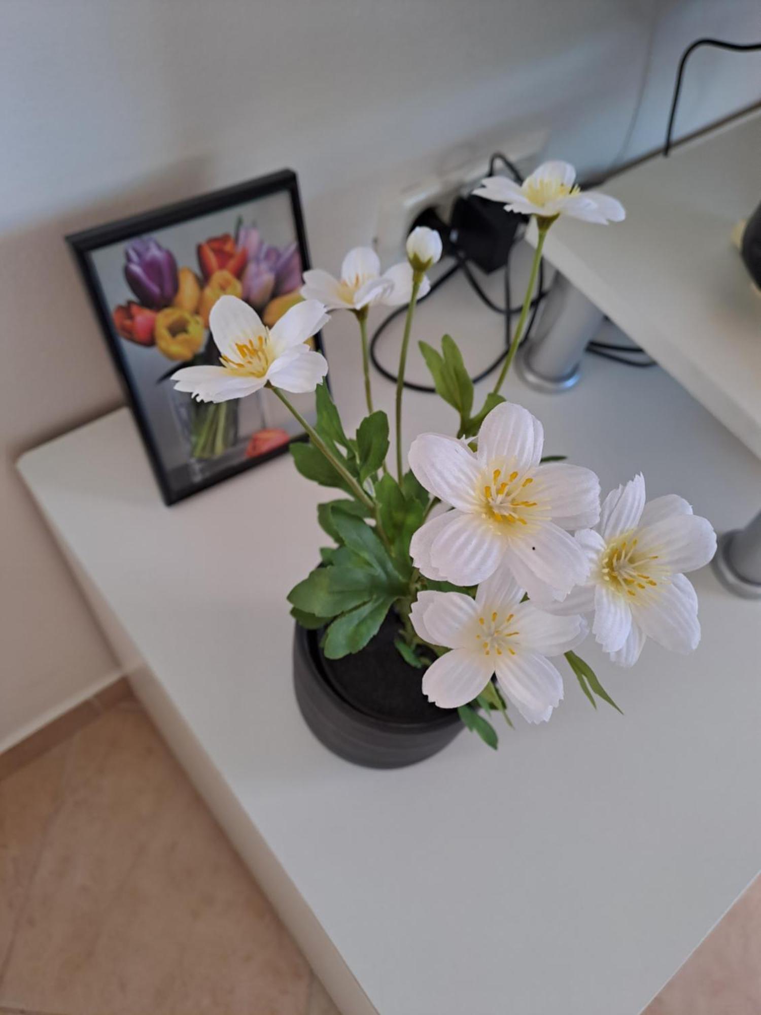 Apartman Valbandon Fažana Kültér fotó